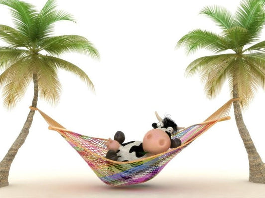 Zomervakantie